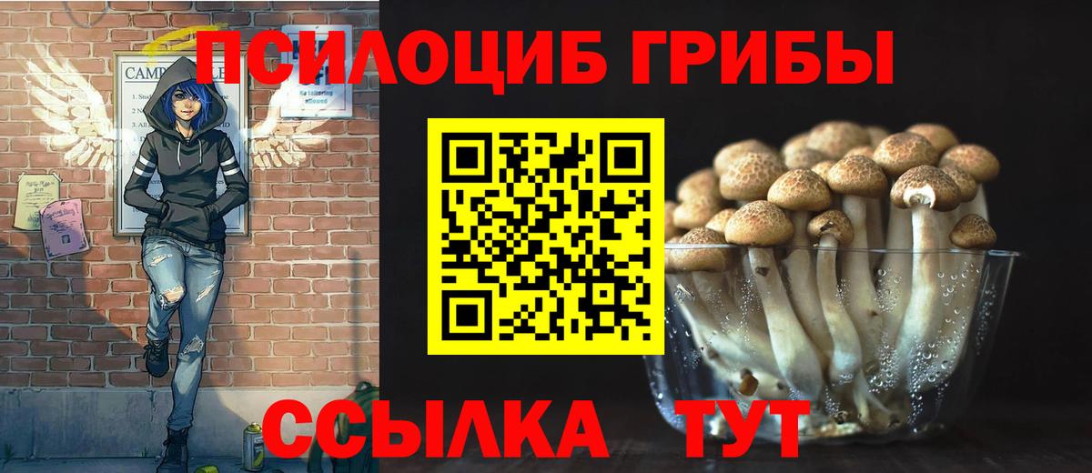 Псилоцибиновые грибы Cubensis  закладки  Каменск-Шахтинский  Вход с VPN 